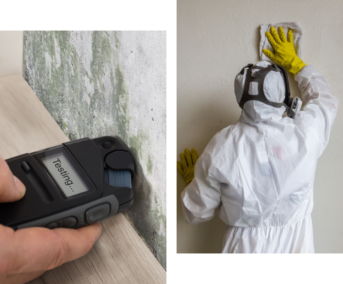 Person in protective gear cleans mold from a wall; close-up of mold testing device in use.